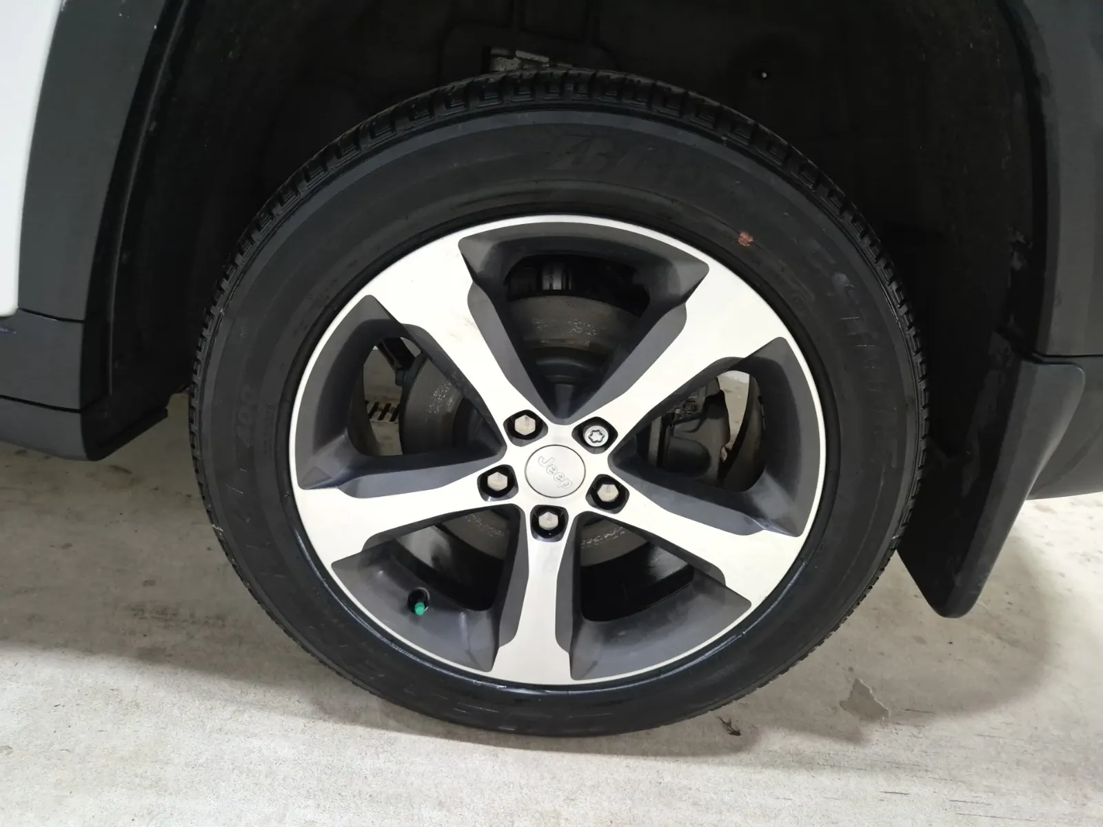 Left Rear Wheel/Tire Photo