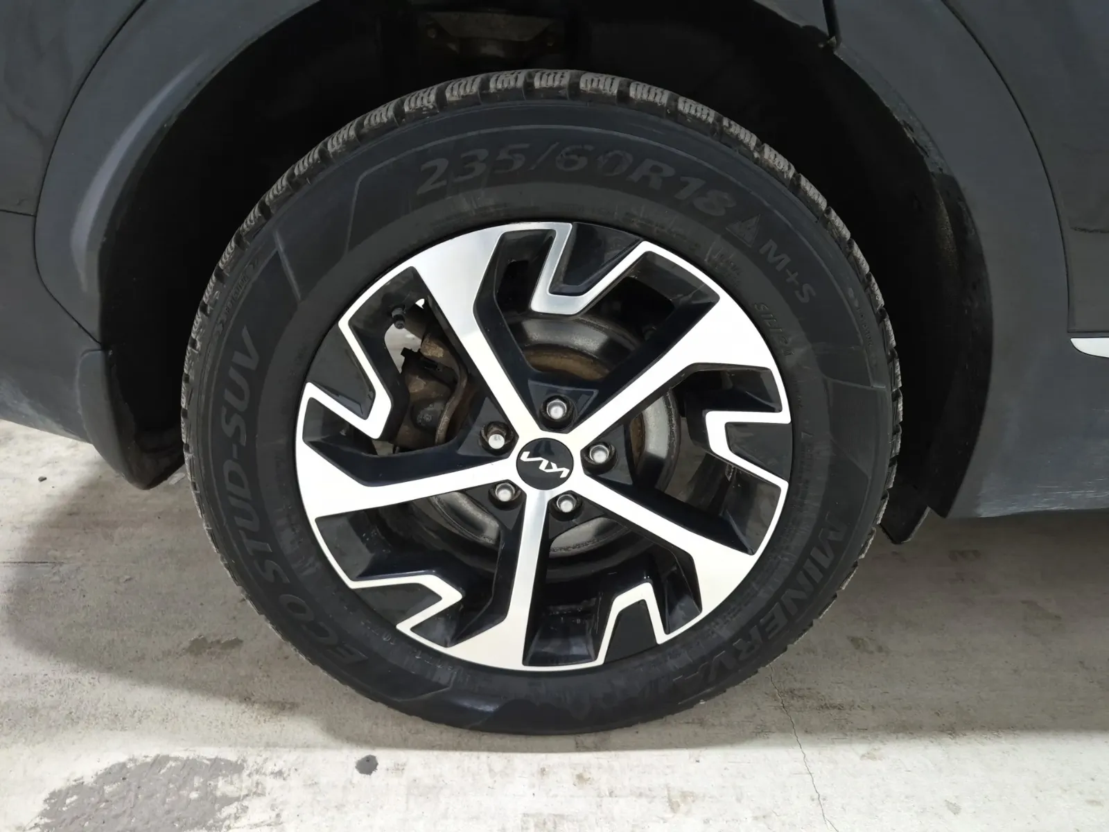 Right Rear Wheel/Tire Photo