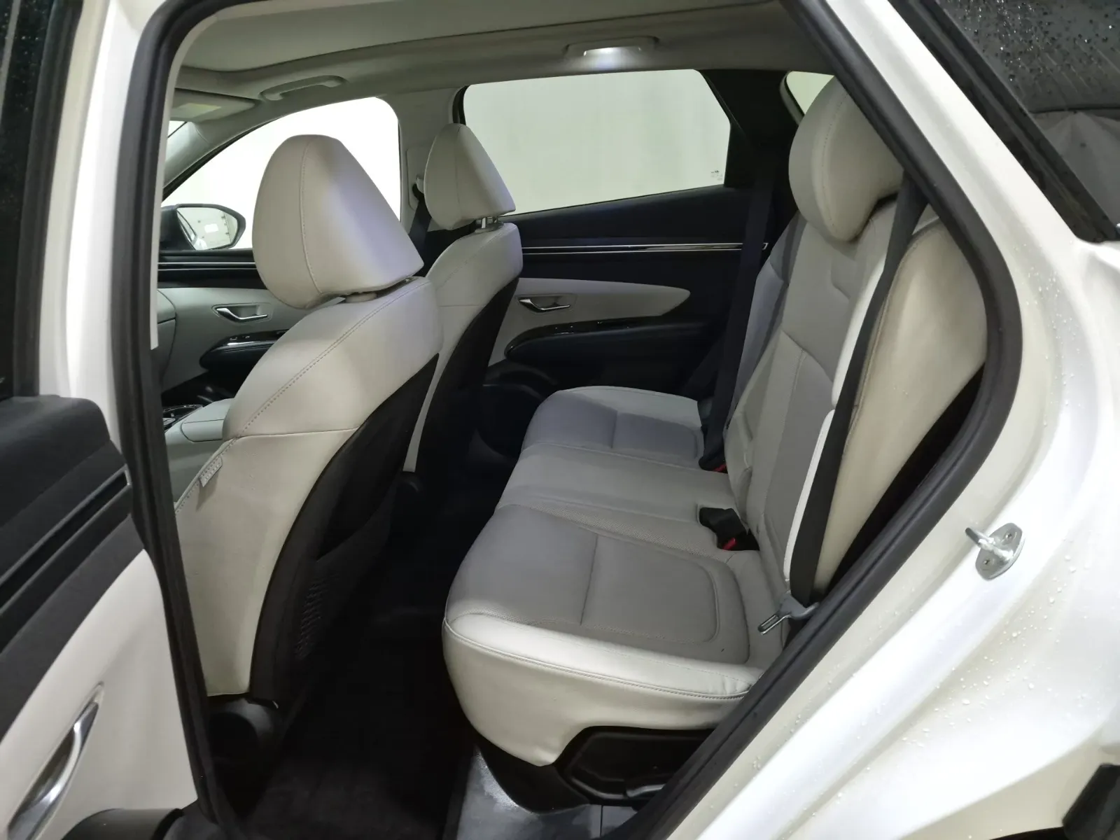 Rear Interior Photo