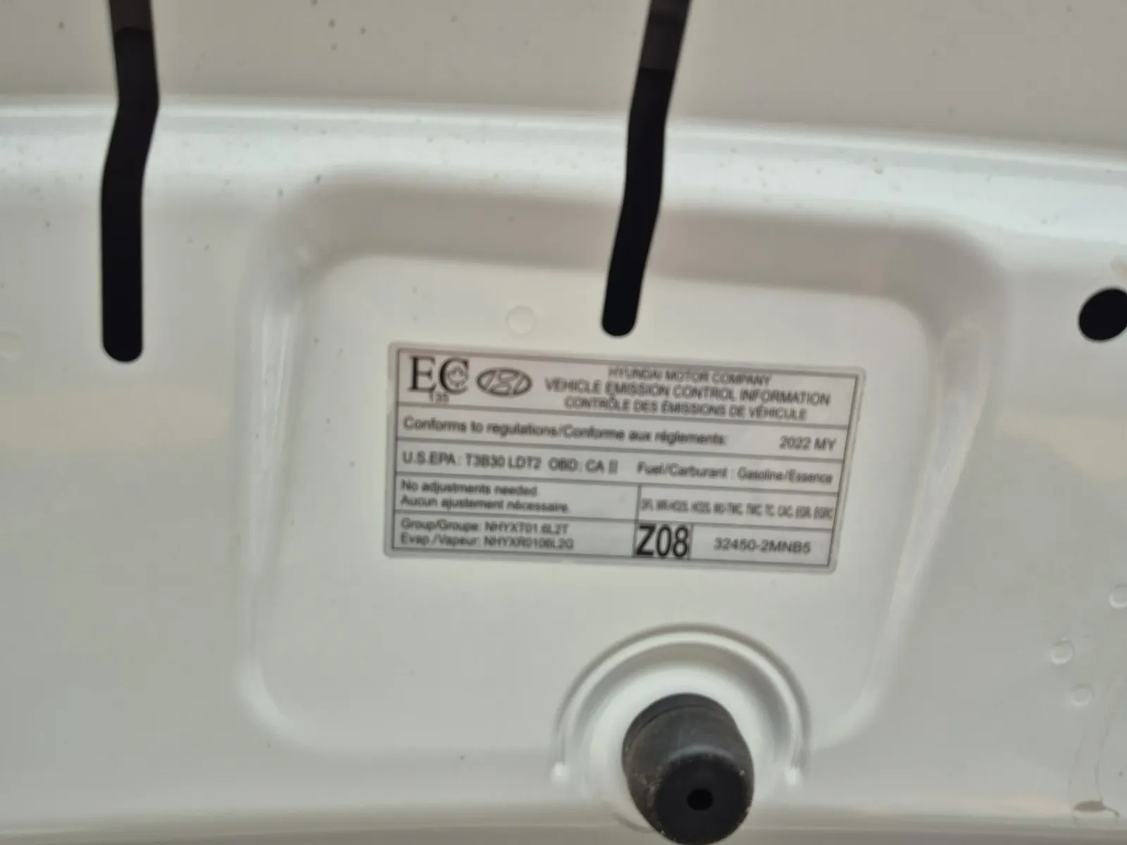 Emission Sticker Photo