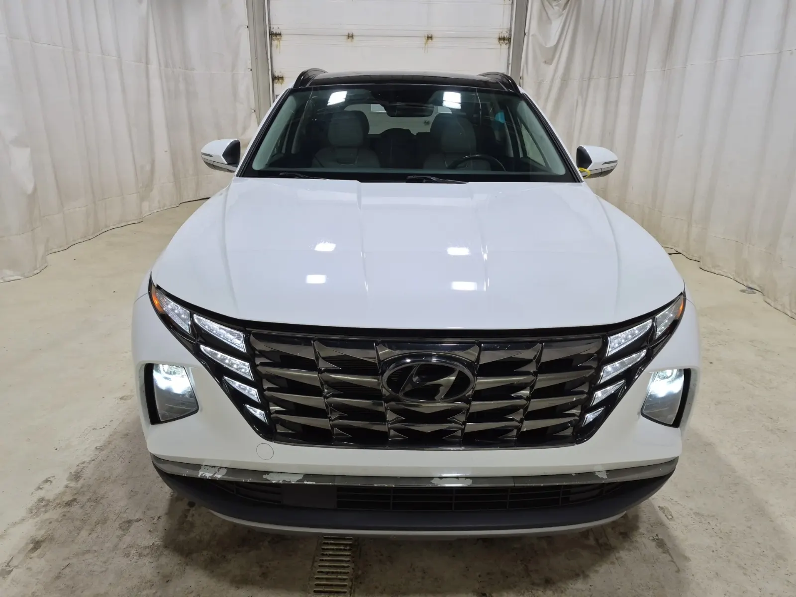 Full Front Photo