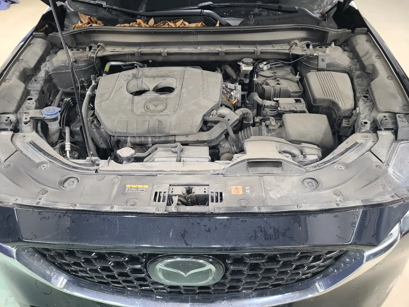 Engine Photo
