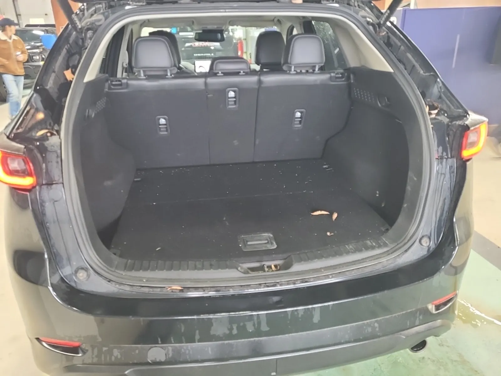 Cargo Area Photo