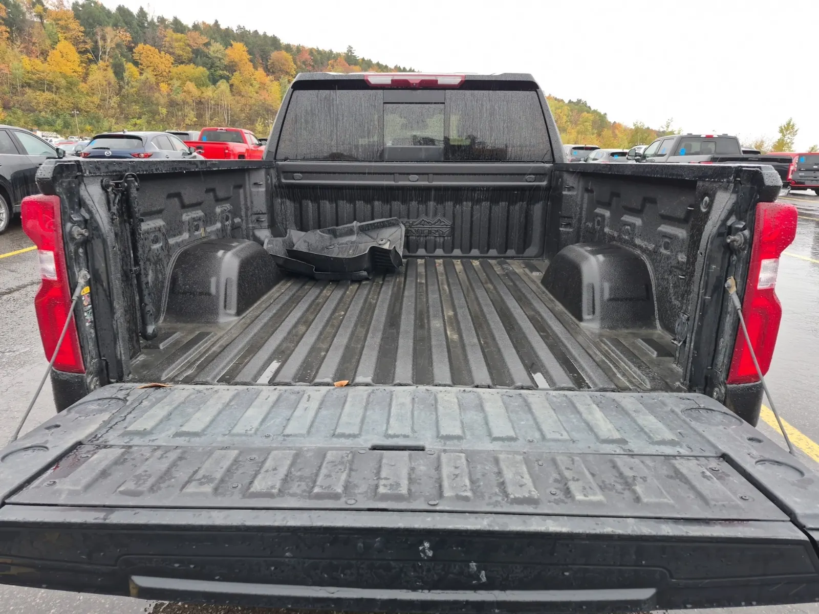 Cargo Area Photo