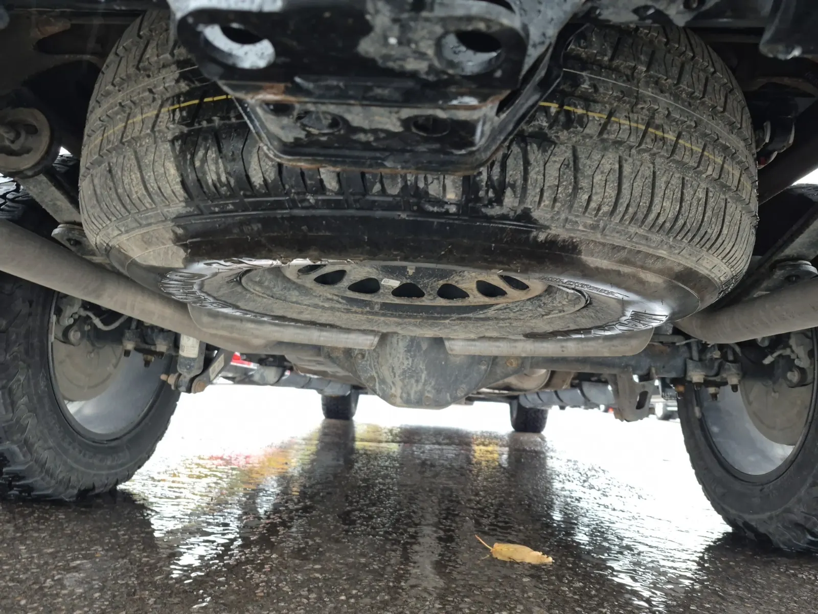 Undercarriage - Rear Photo