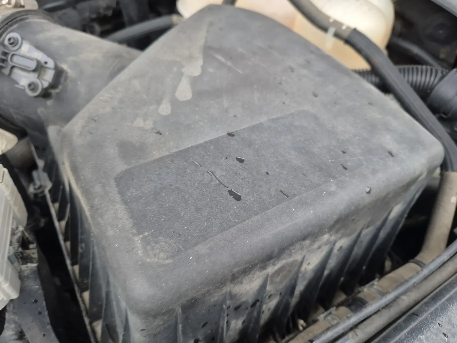 Emission Sticker Photo
