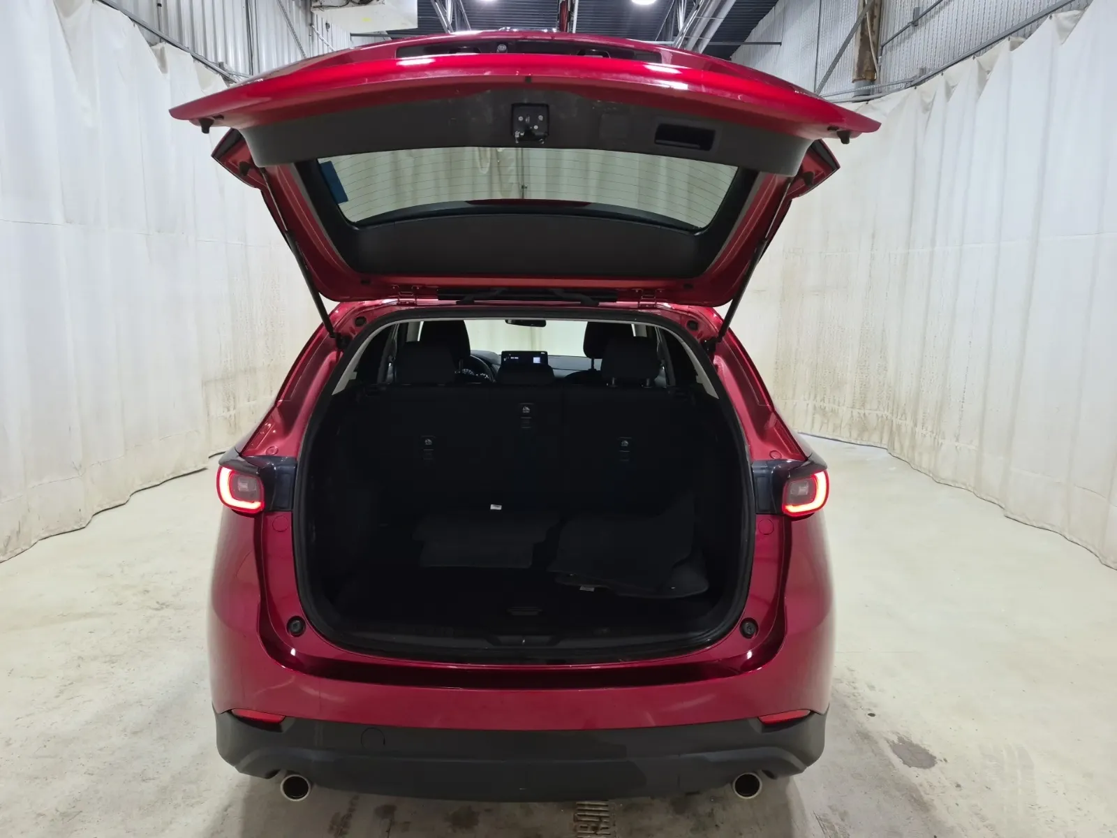 Cargo Area Photo
