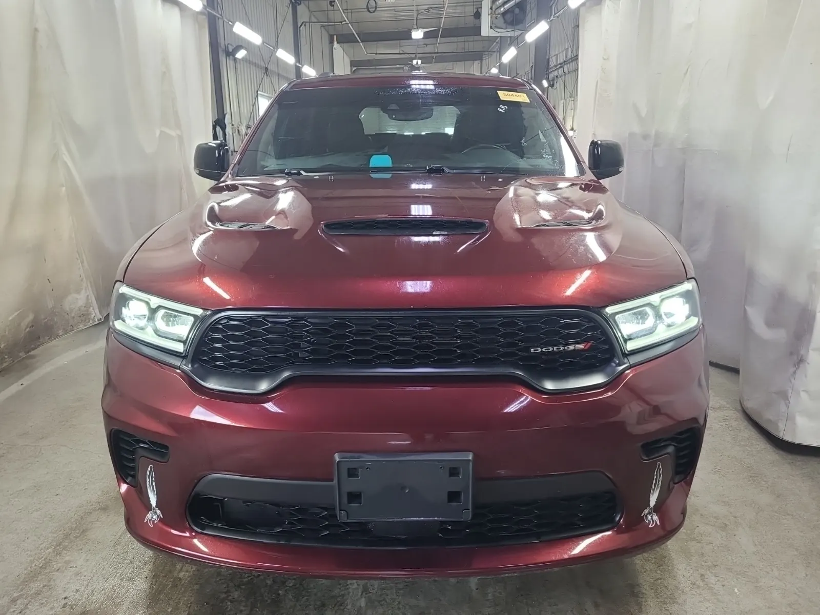 Full Front Photo