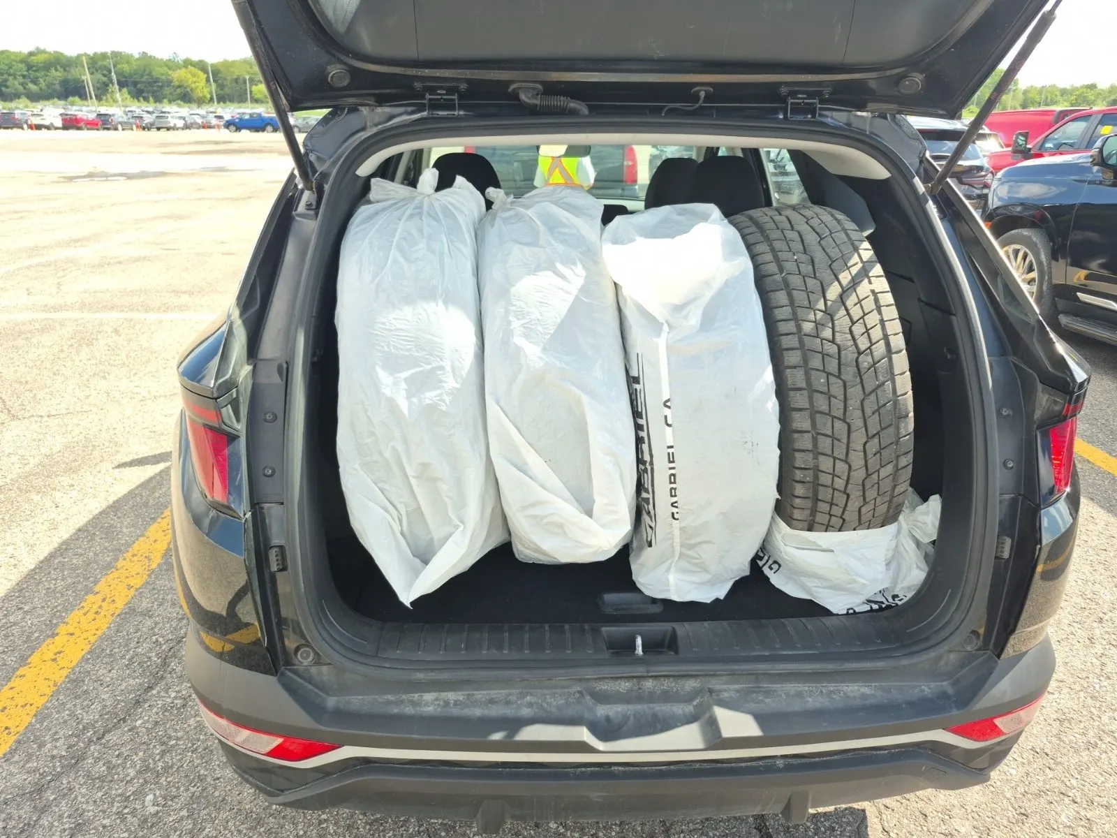 Cargo Area Photo