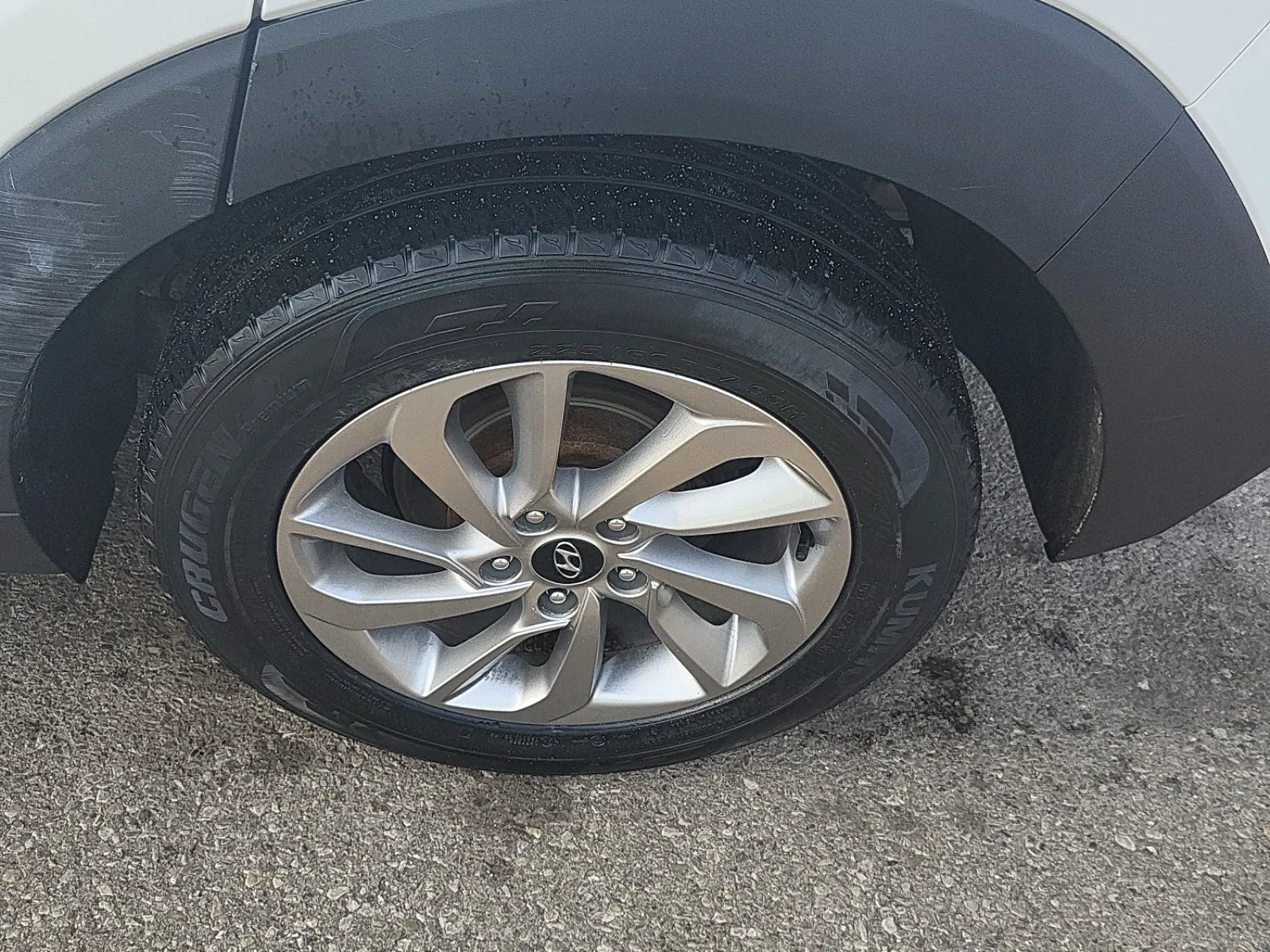 Left Rear Wheel/Tire Photo
