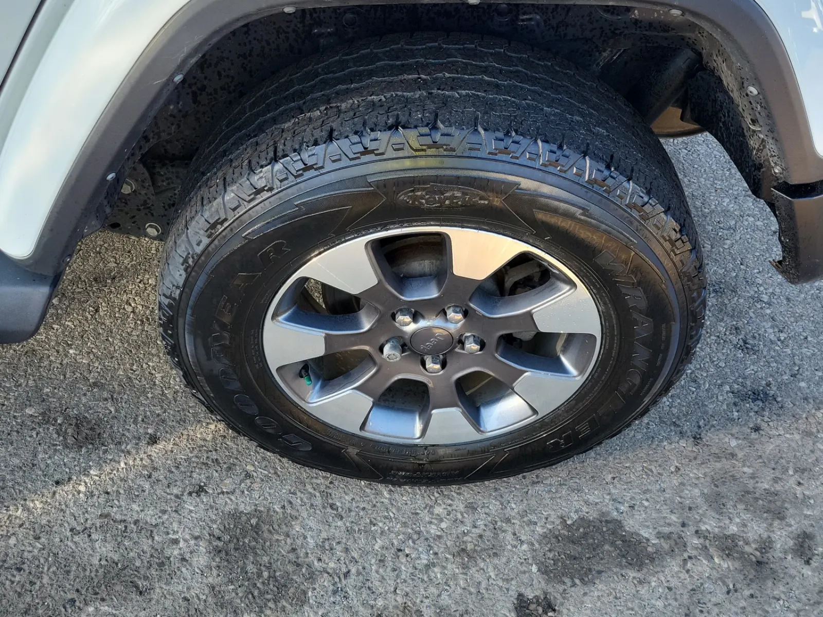 Left Rear Wheel/Tire Photo