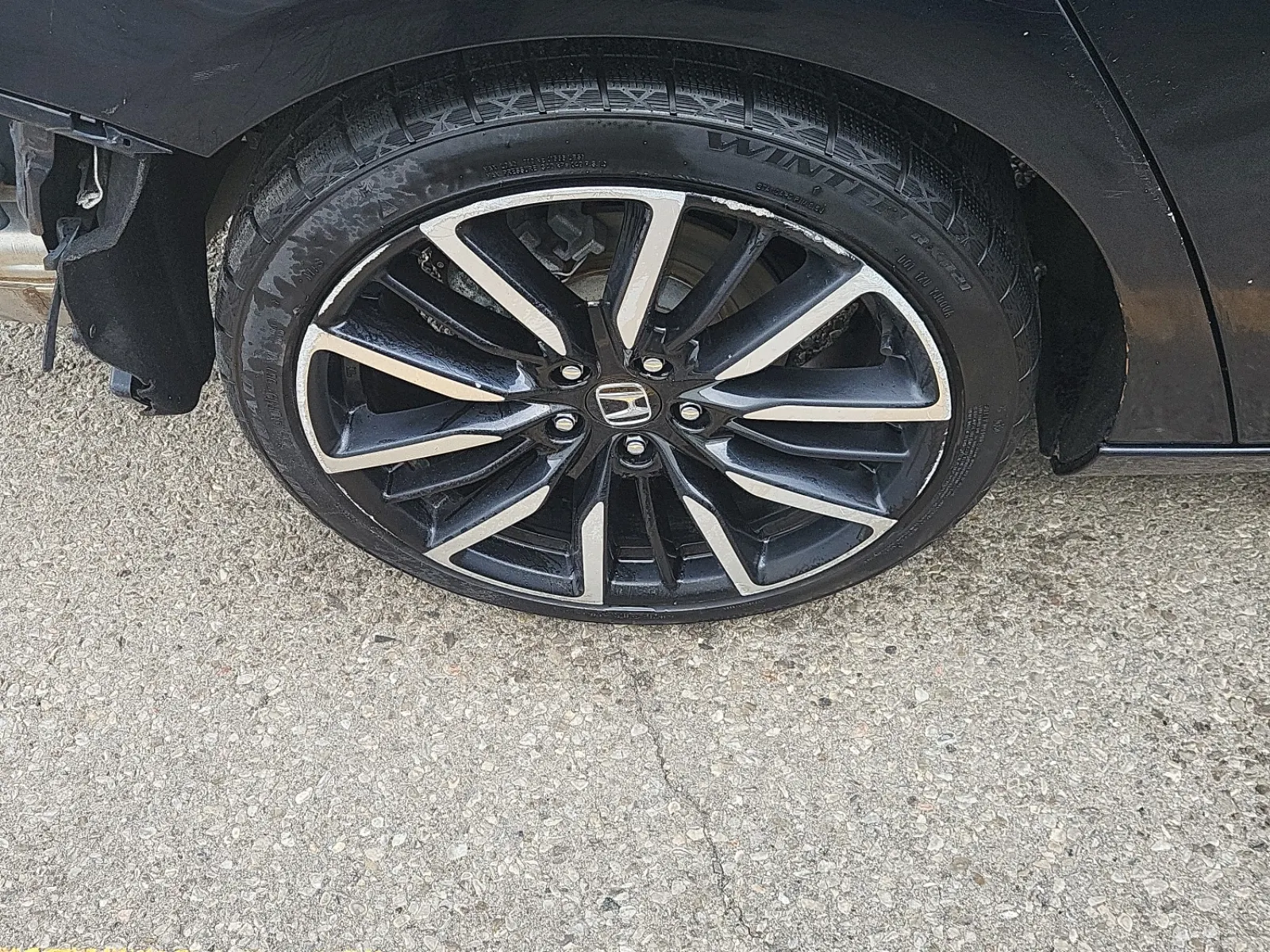 Right Rear Wheel/Tire Photo