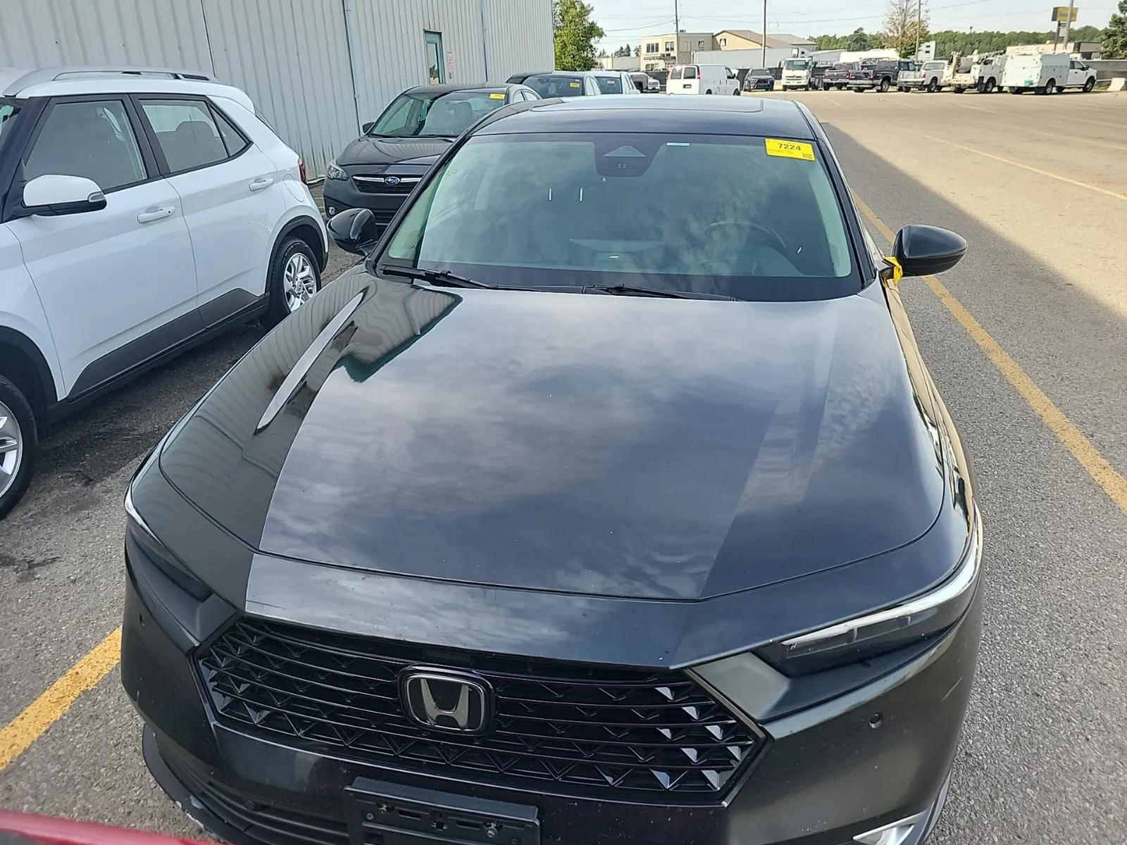 Full Front Photo