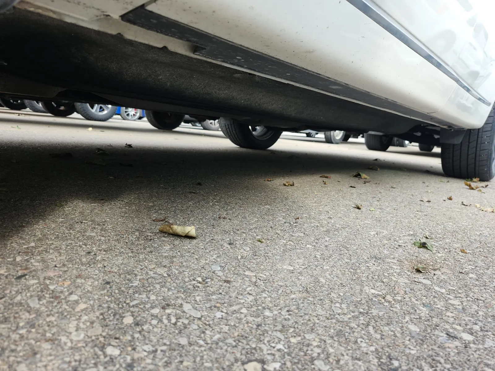 Undercarriage - Driver Photo