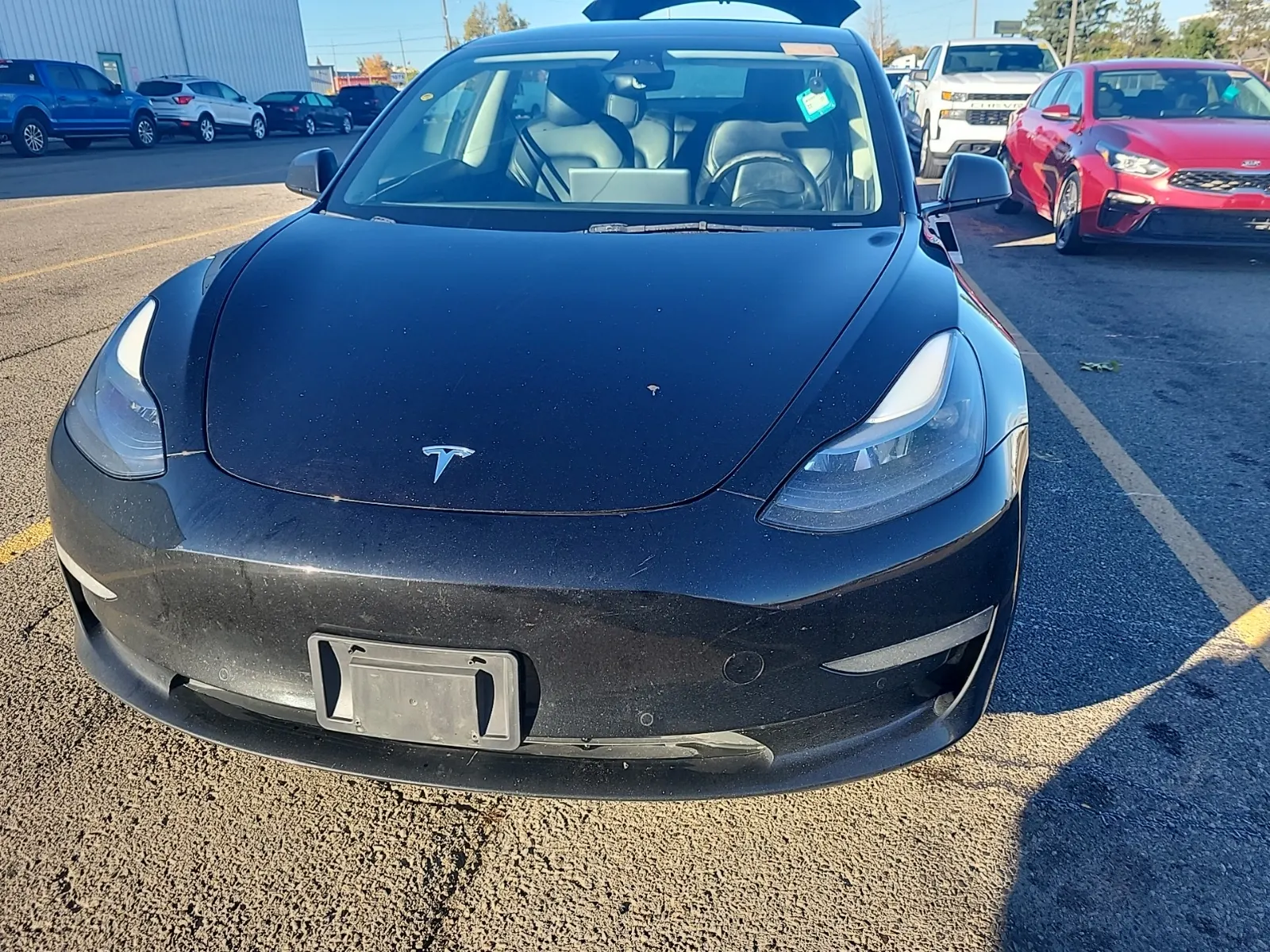 Full Front Photo