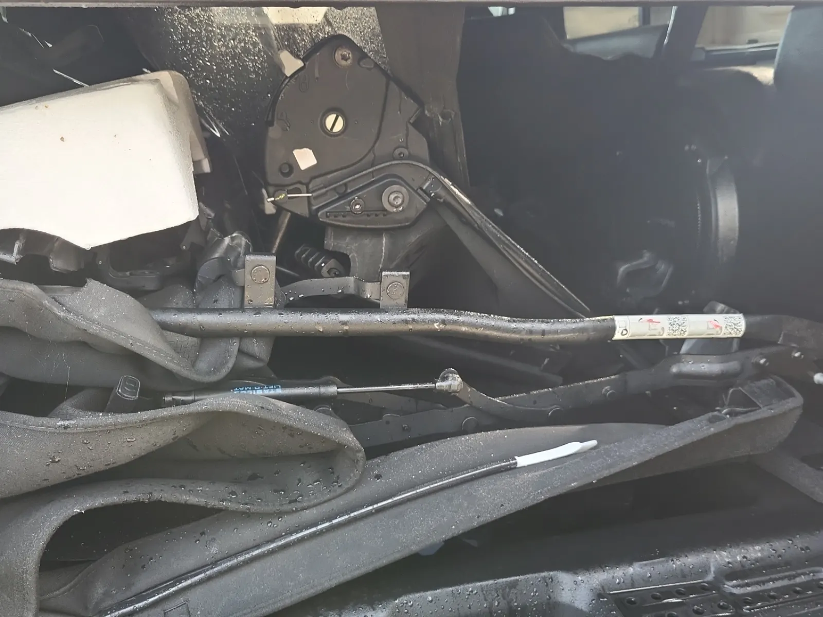 Cargo Area Photo