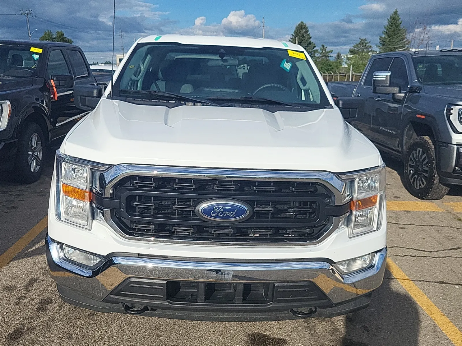 Full Front Photo