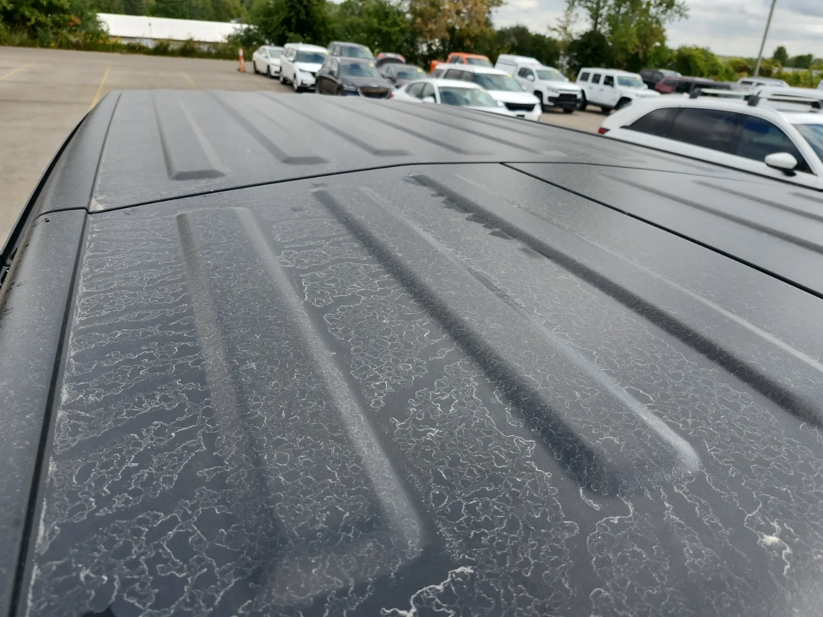 Exterior Roof Photo