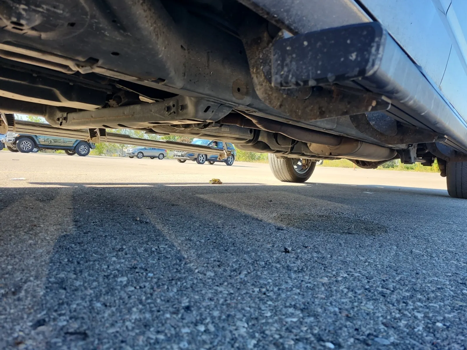 Undercarriage - Driver Photo