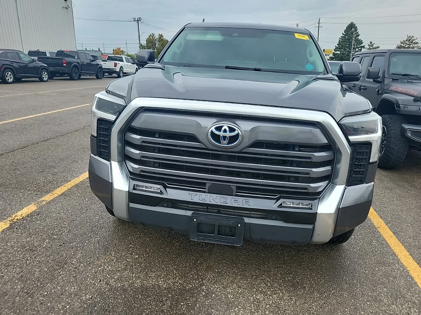 Full Front Photo