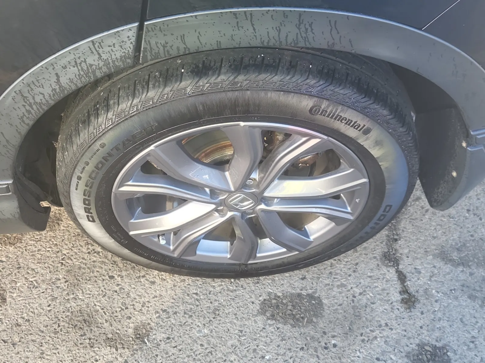Left Rear Wheel/Tire Photo