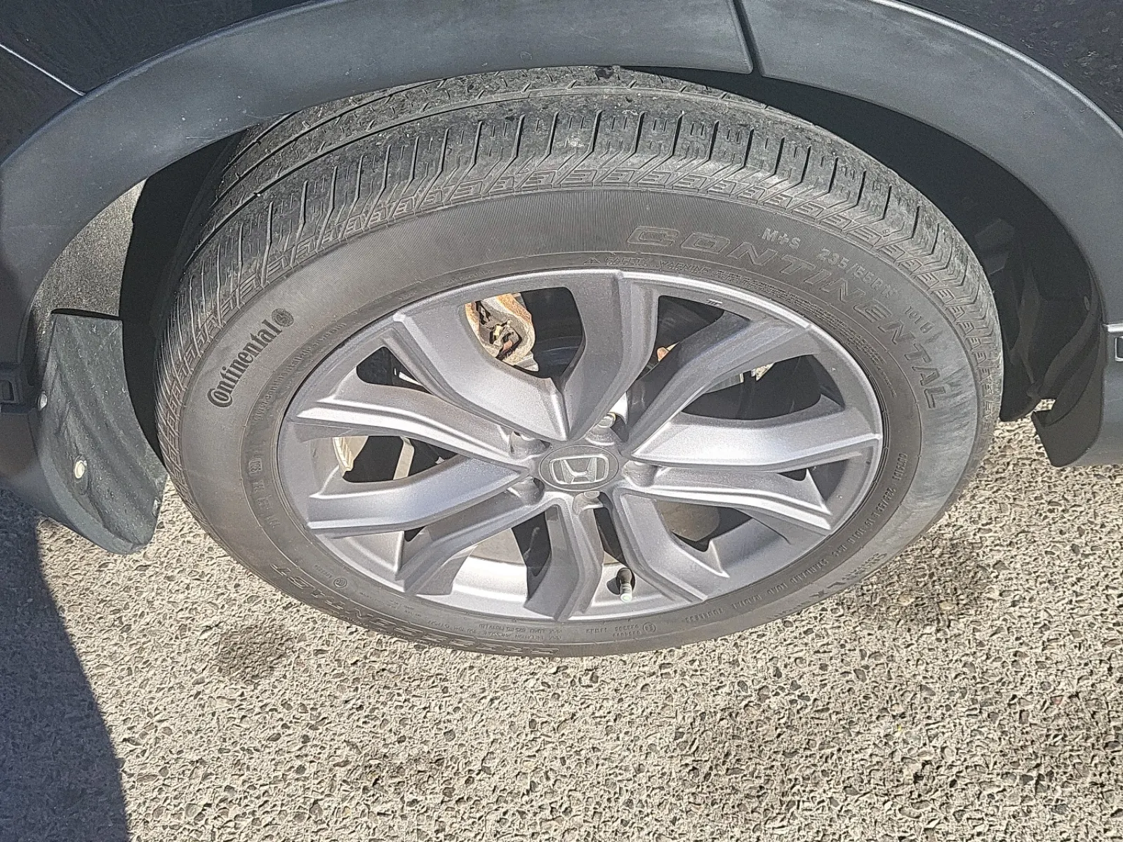 Right Rear Wheel/Tire Photo