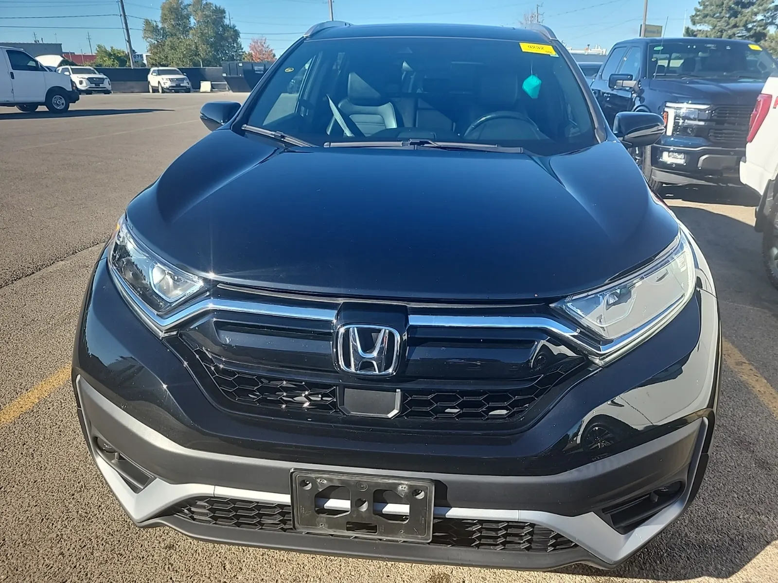 Full Front Photo