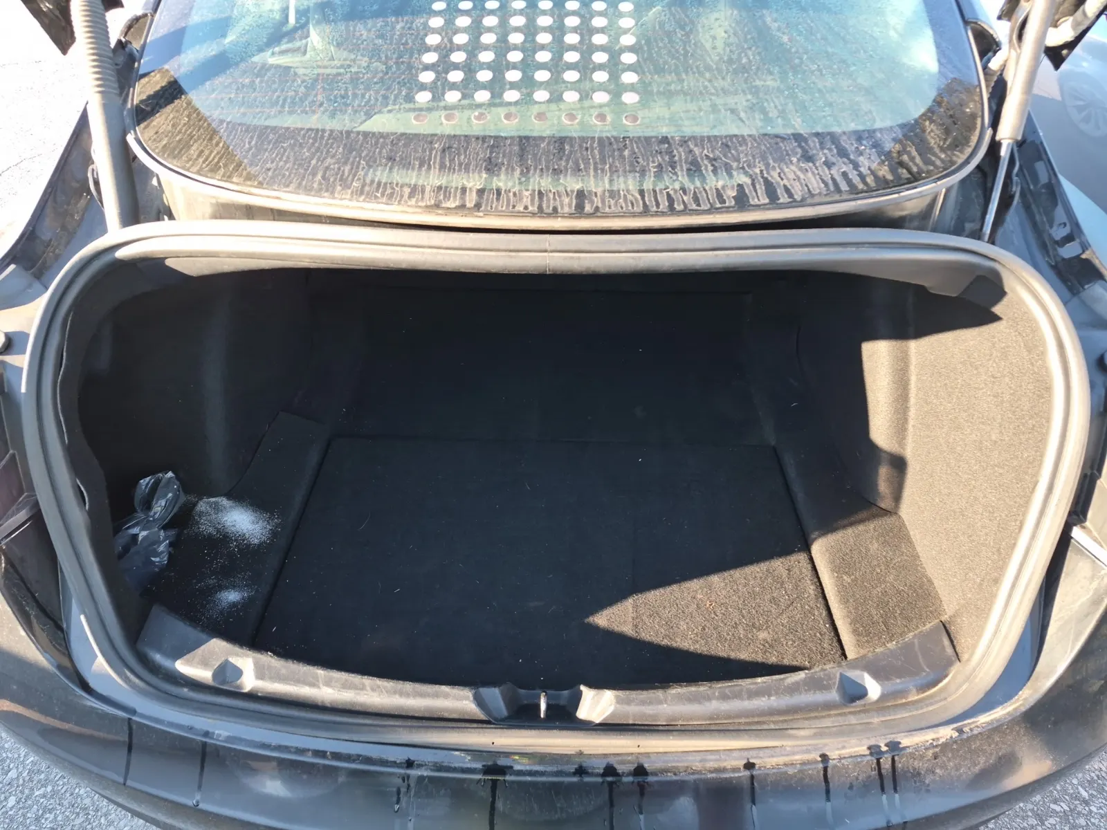 Cargo Area Photo