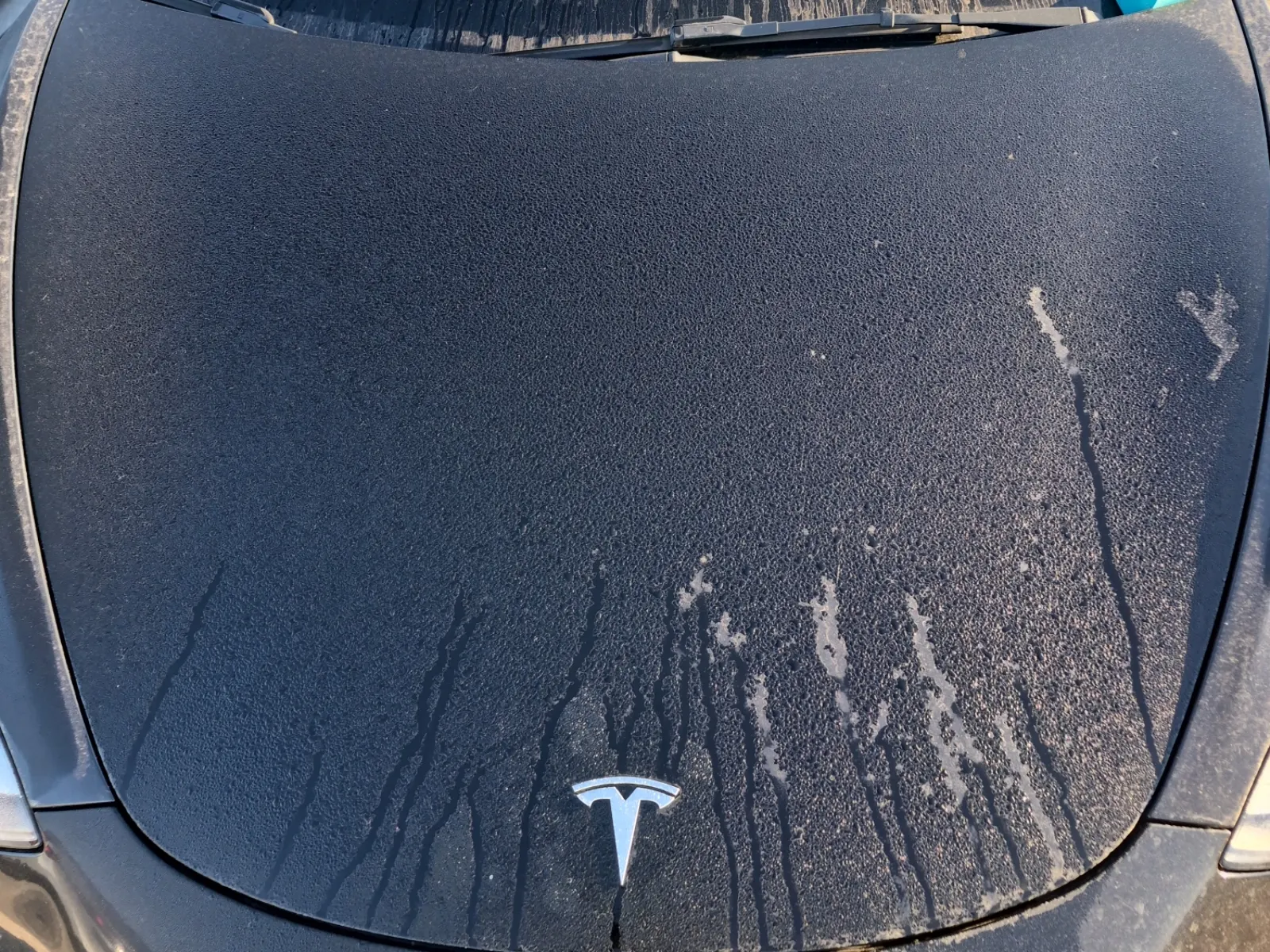 Emission Sticker Photo