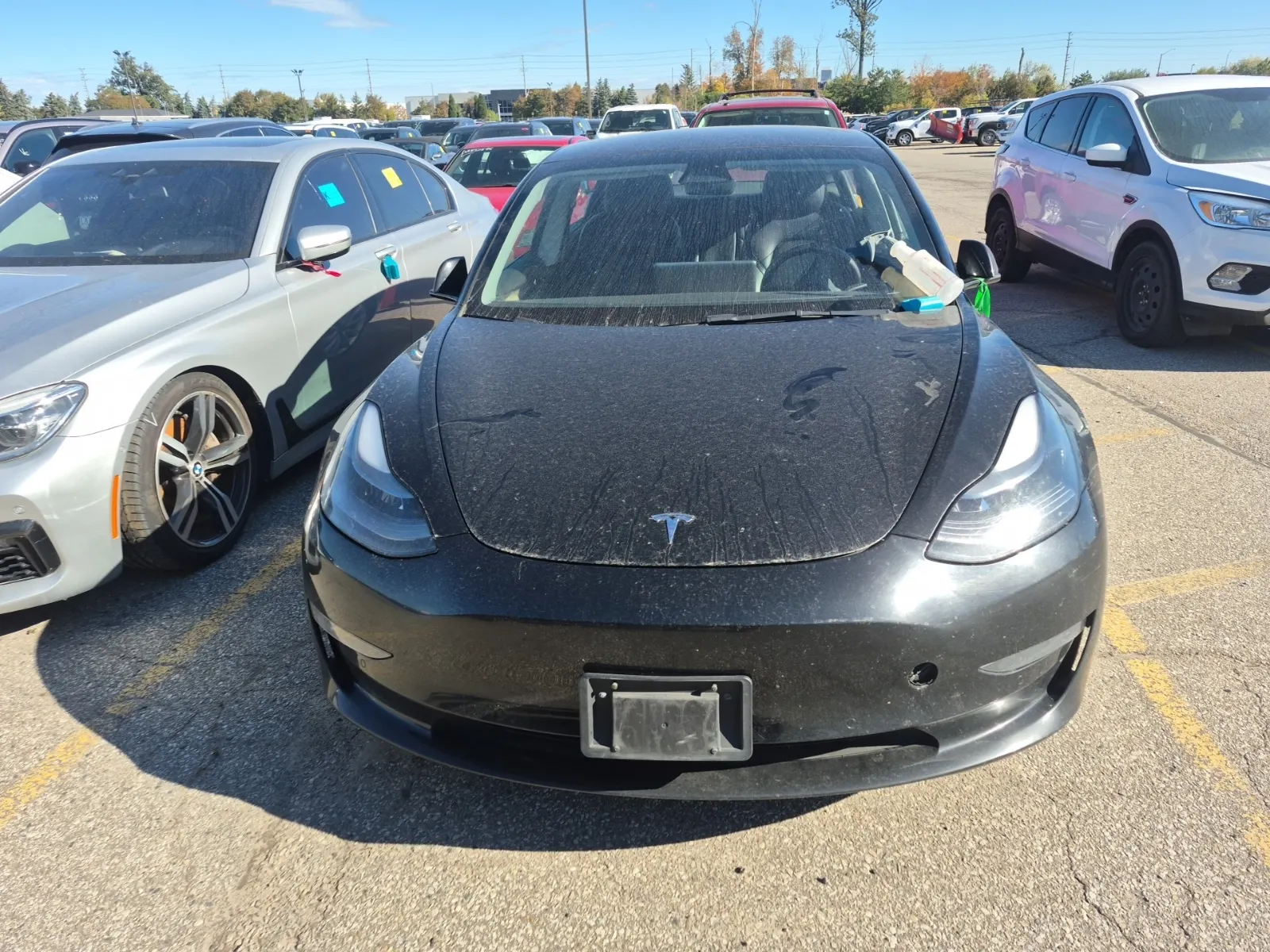 Full Front Photo