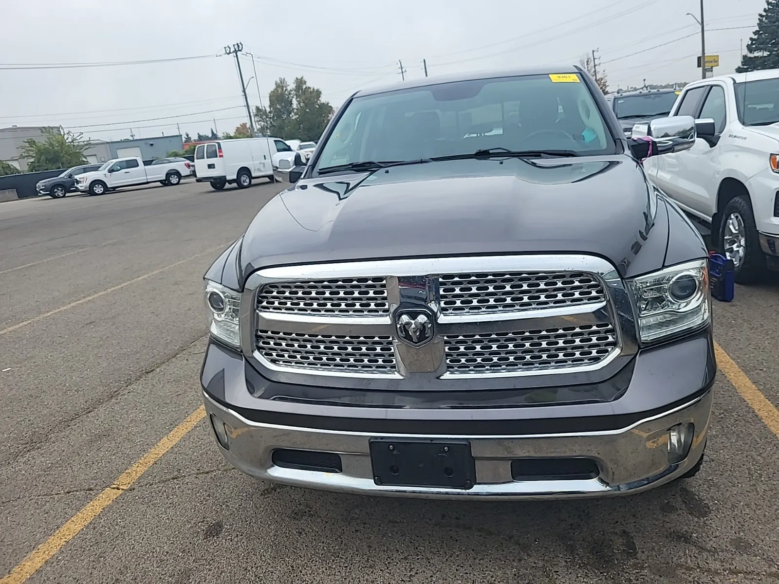Full Front Photo