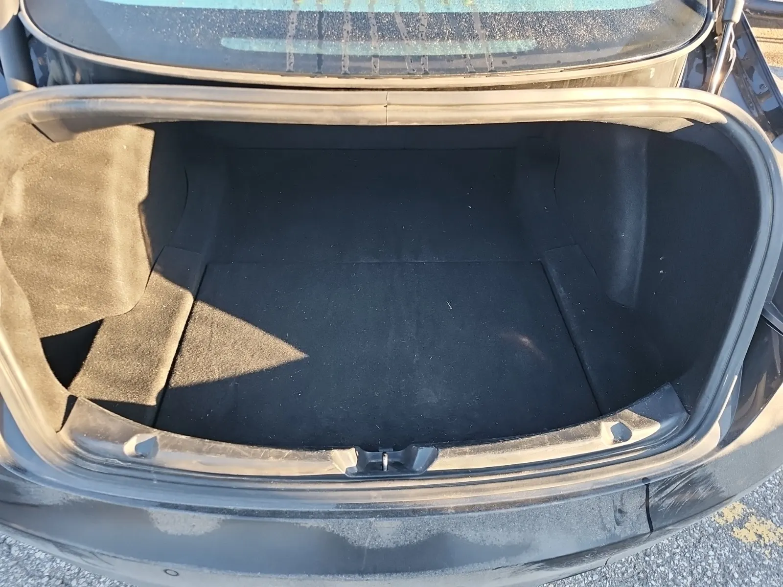 Cargo Area Photo
