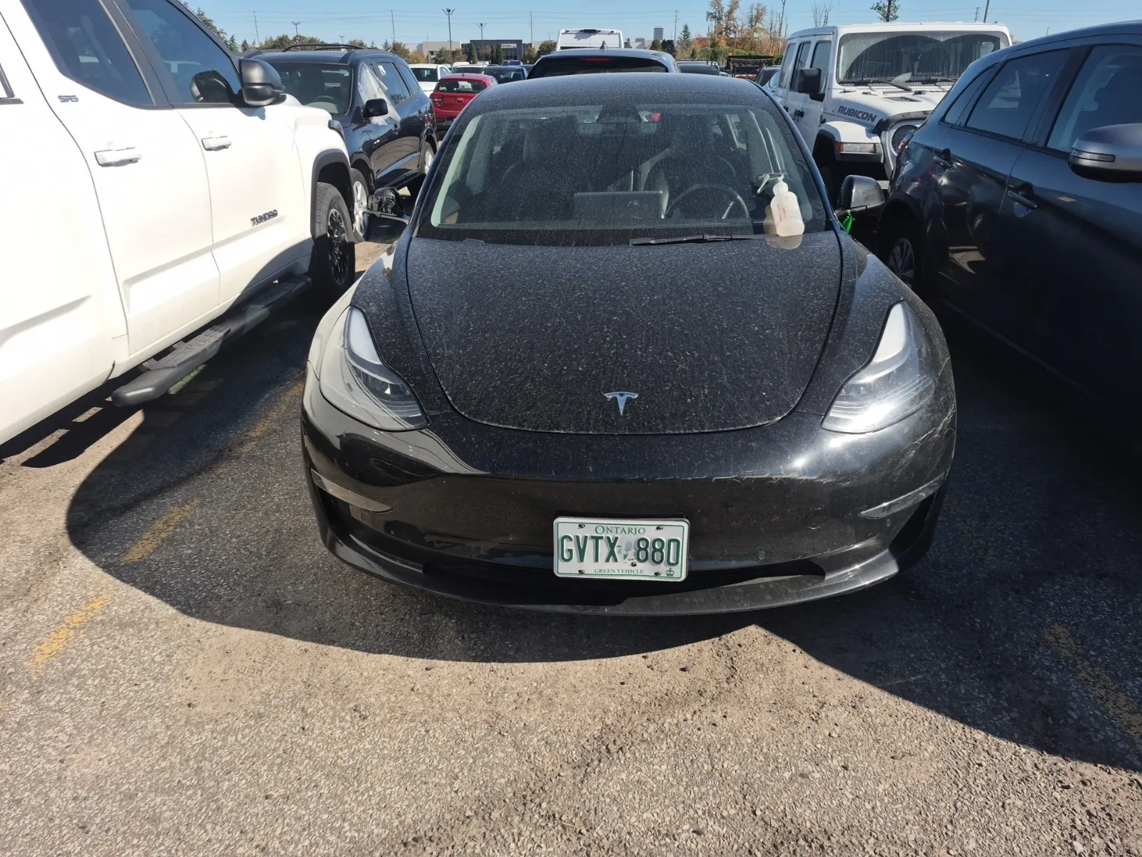 Full Front Photo