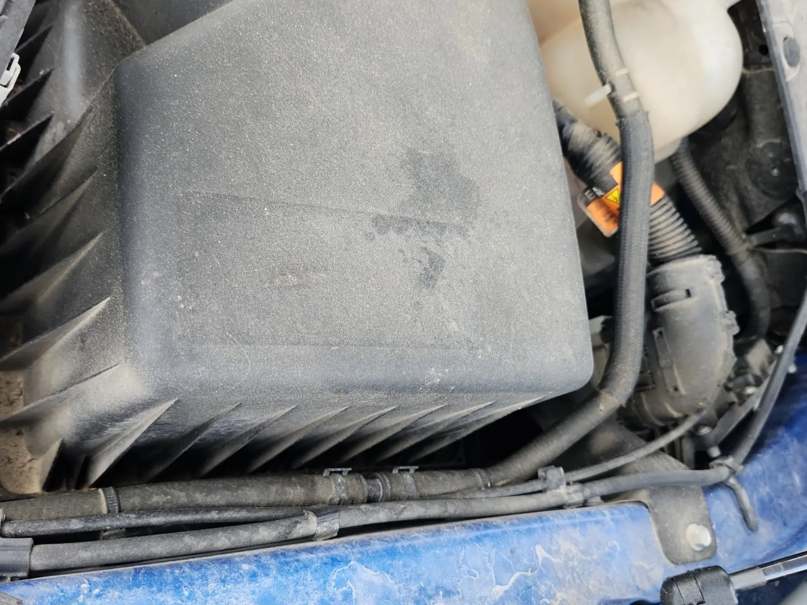 Emission Sticker Photo