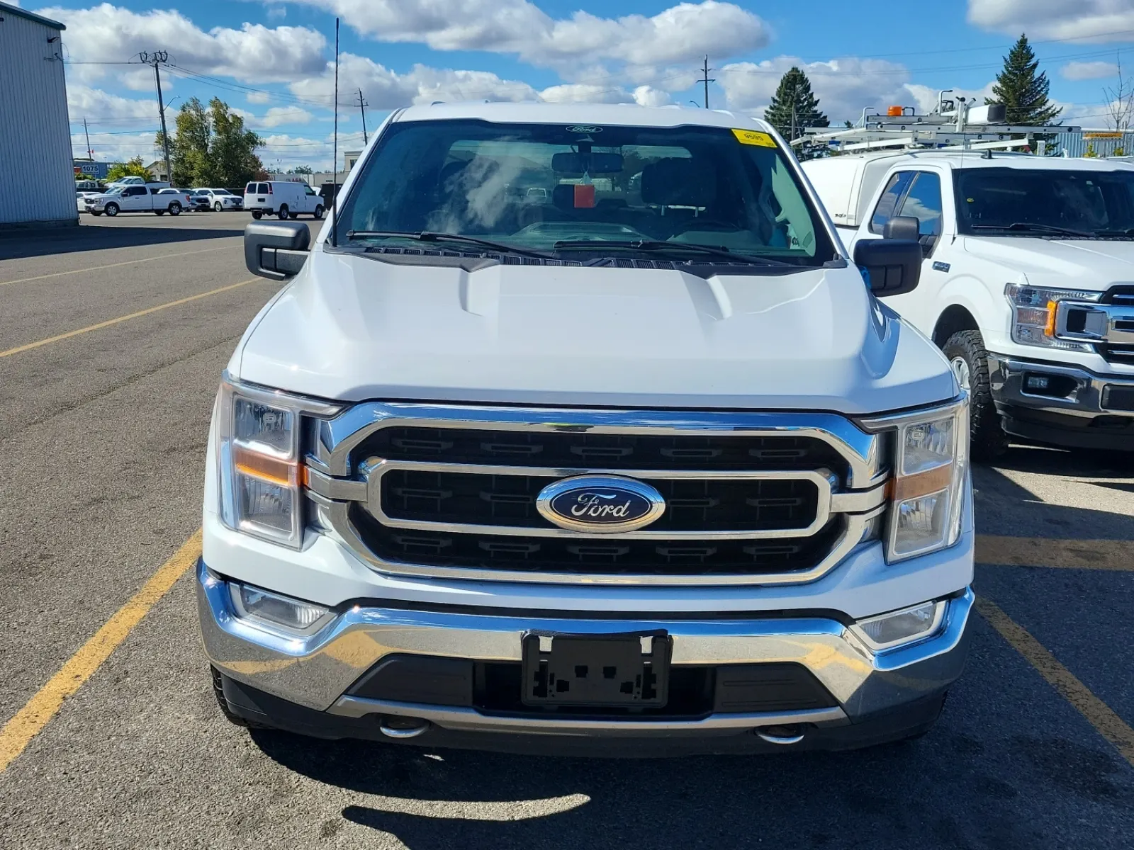 Full Front Photo