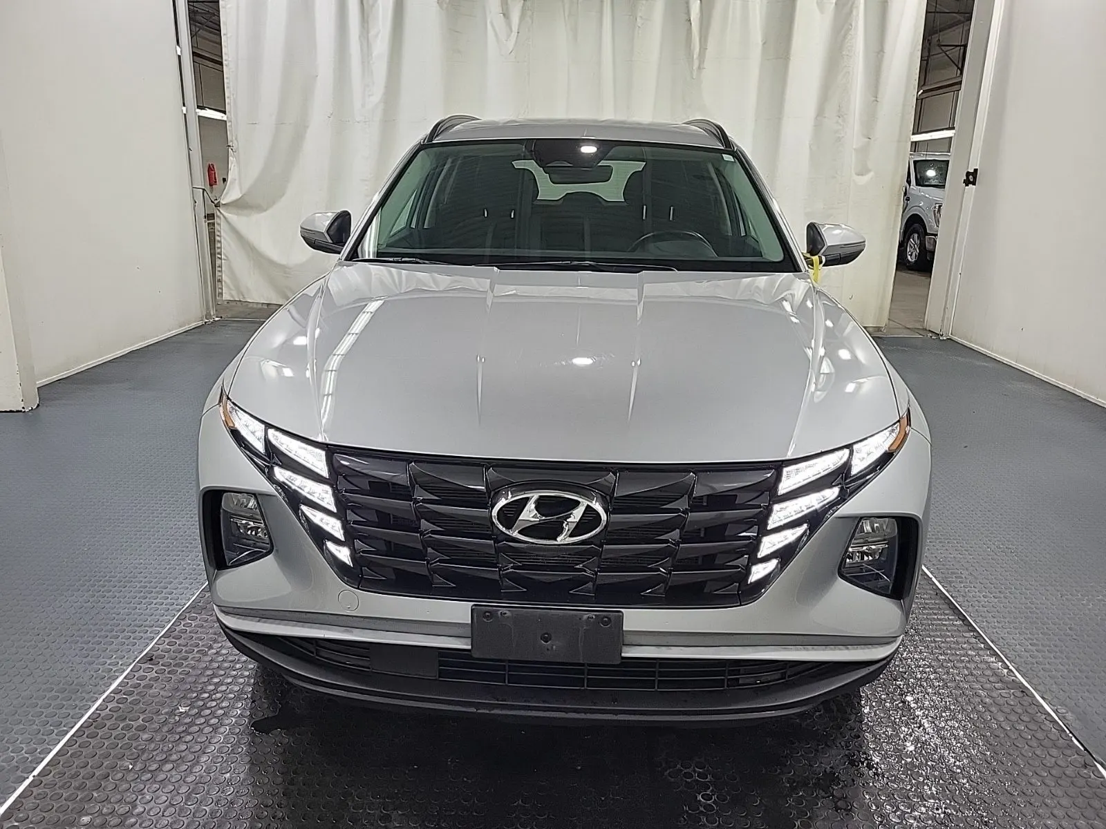 Full Front Photo