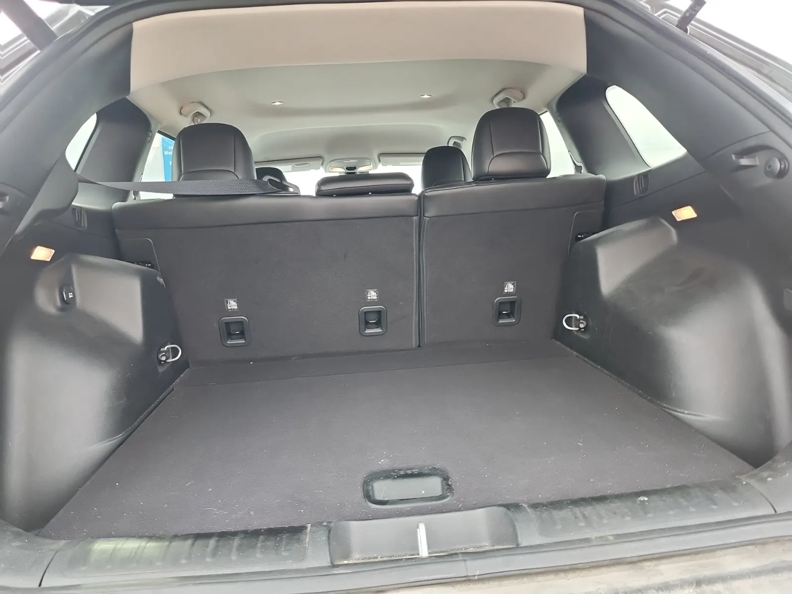Cargo Area Photo