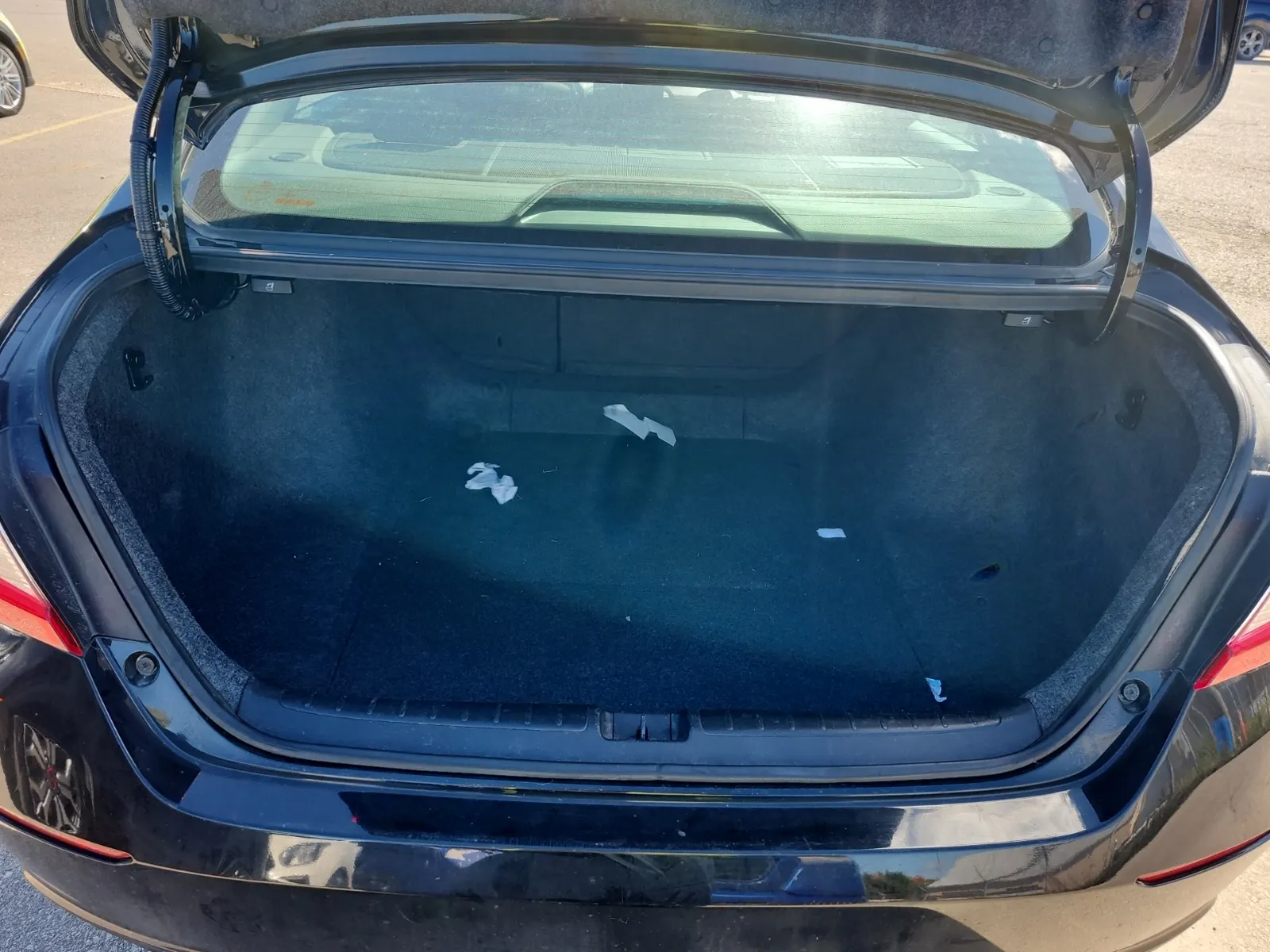 Cargo Area Photo