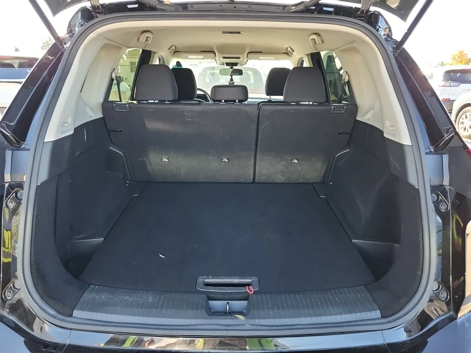 Cargo Area Photo
