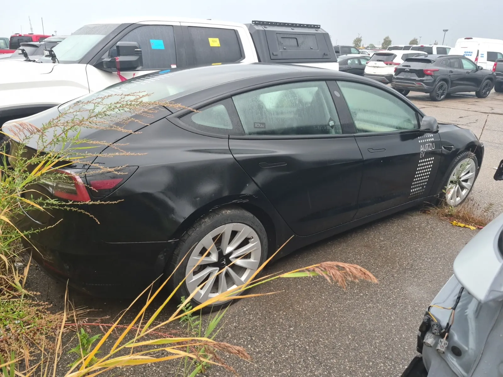 Passenger Rear 3/4 Photo