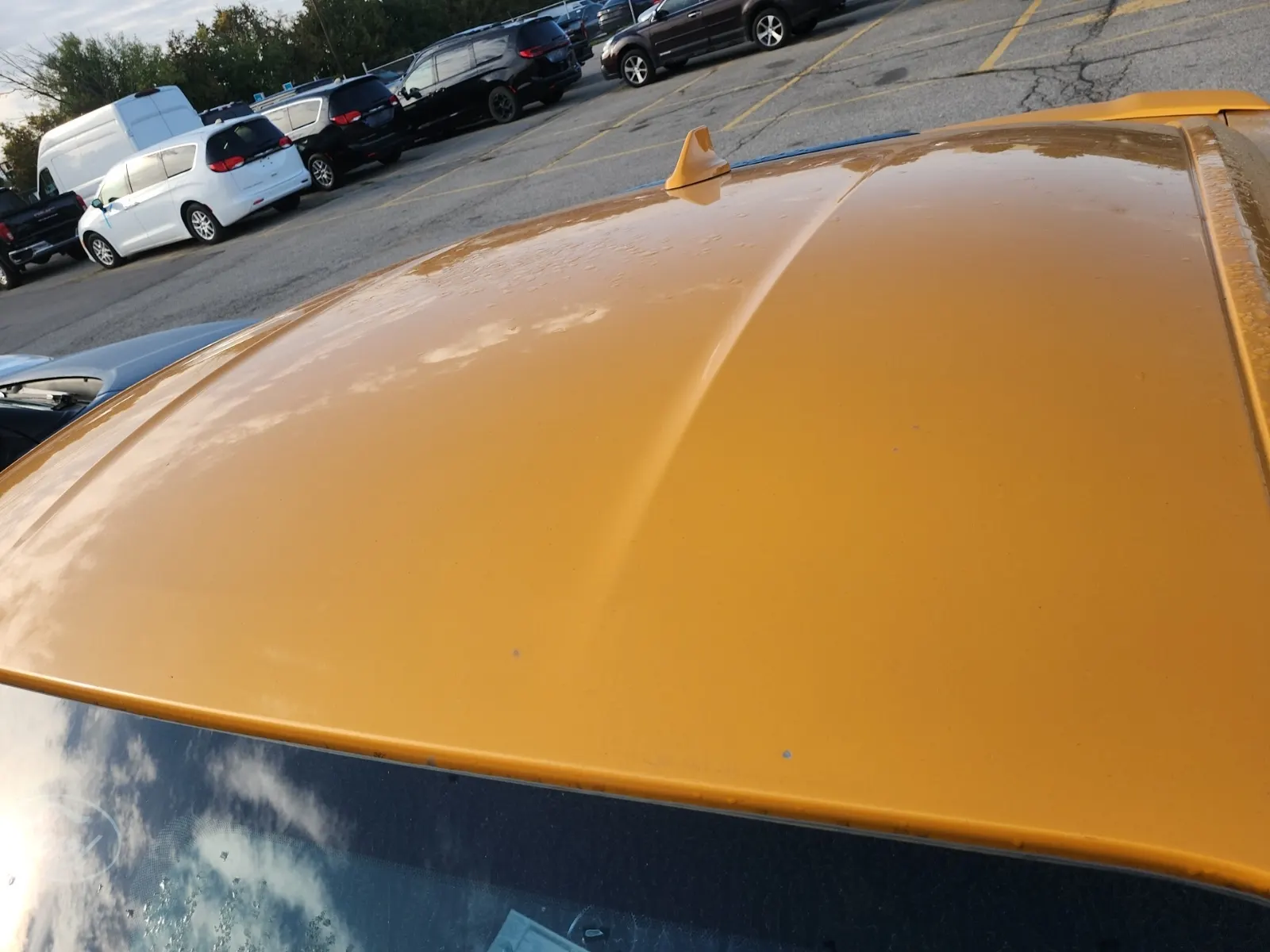 Exterior Roof Photo