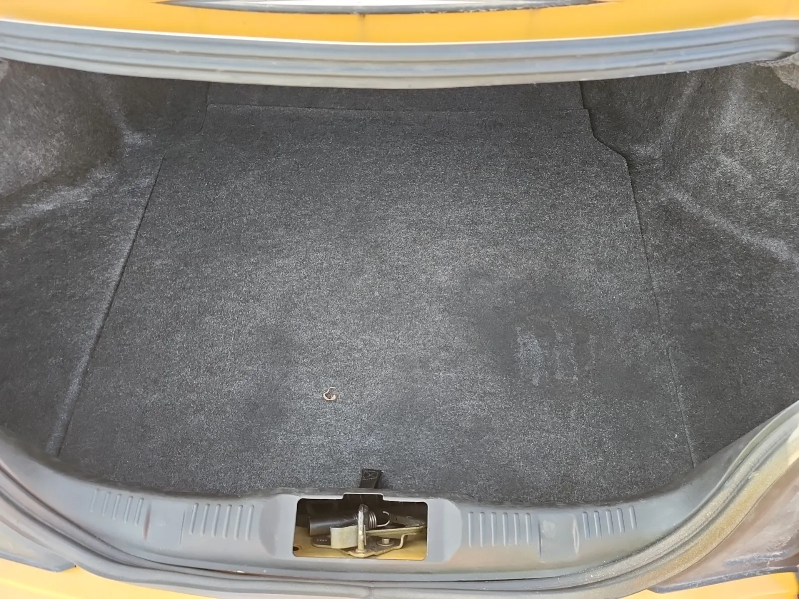Cargo Area Photo