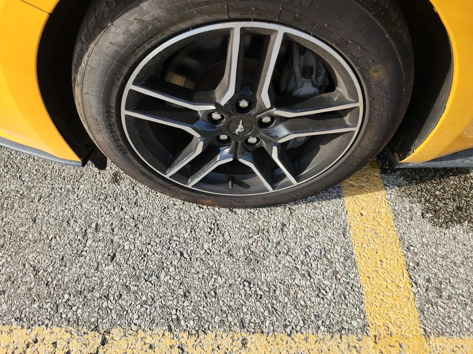 Front driver wheel/tire photo