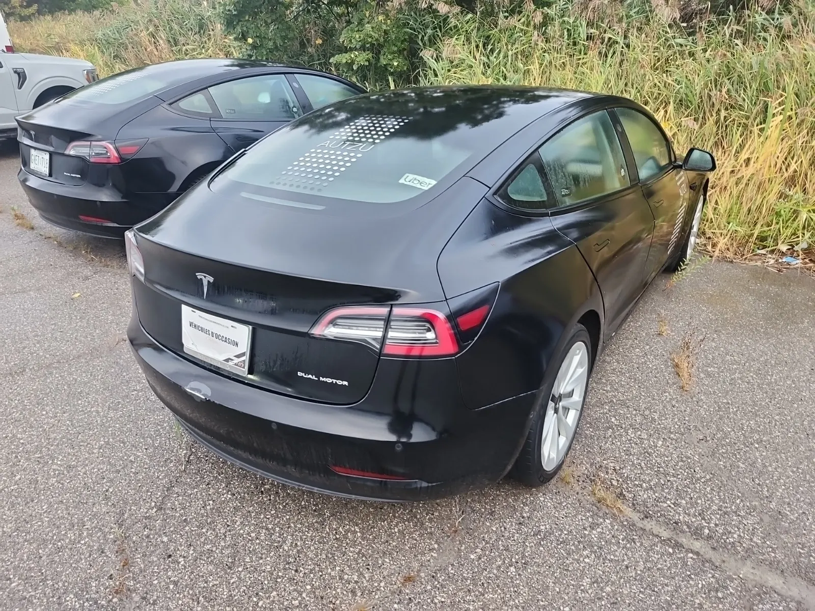 Passenger Rear 3/4 Photo