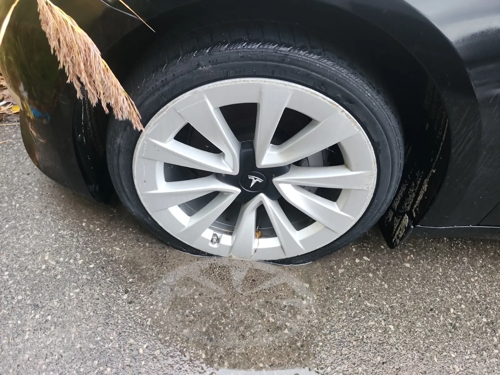 Front driver wheel/tire photo