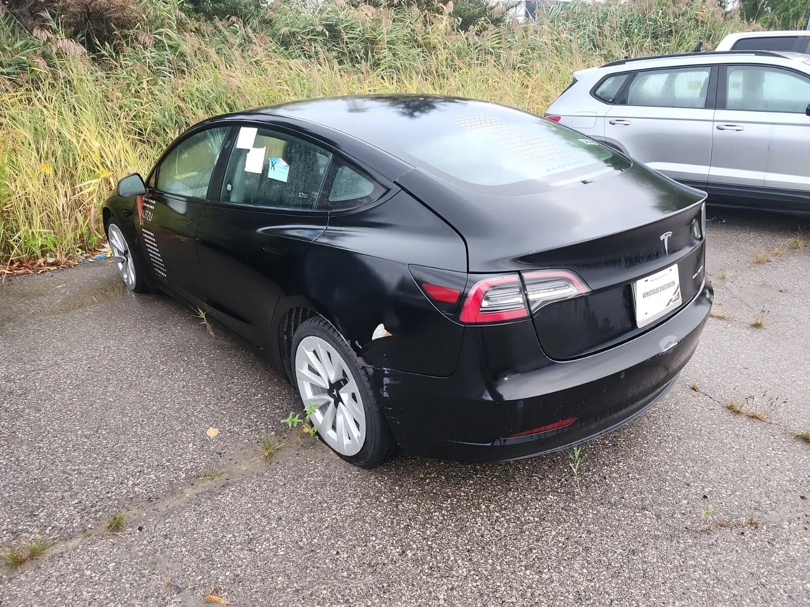 Driver Rear 3/4 Photo