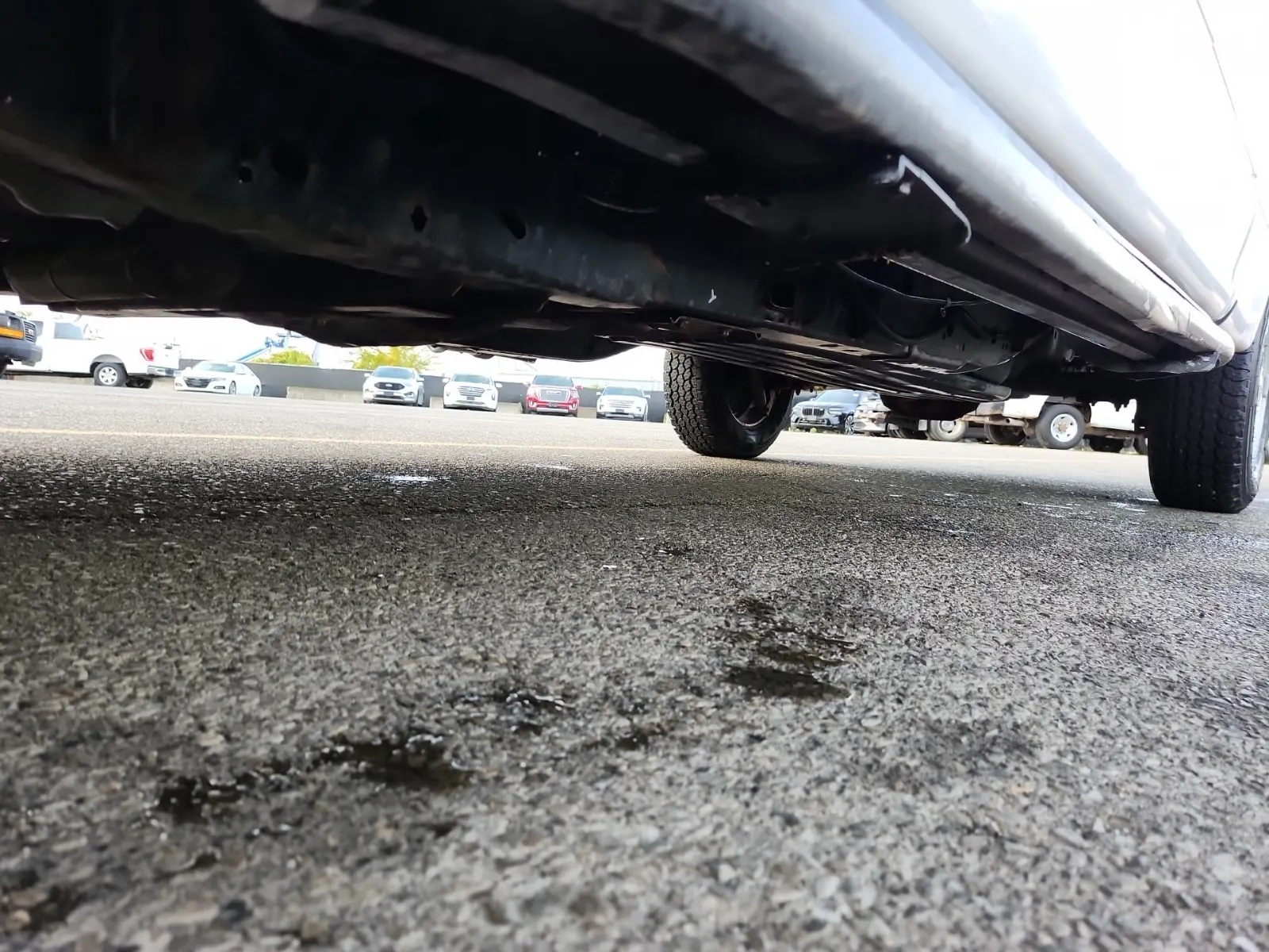 Undercarriage - Driver Photo