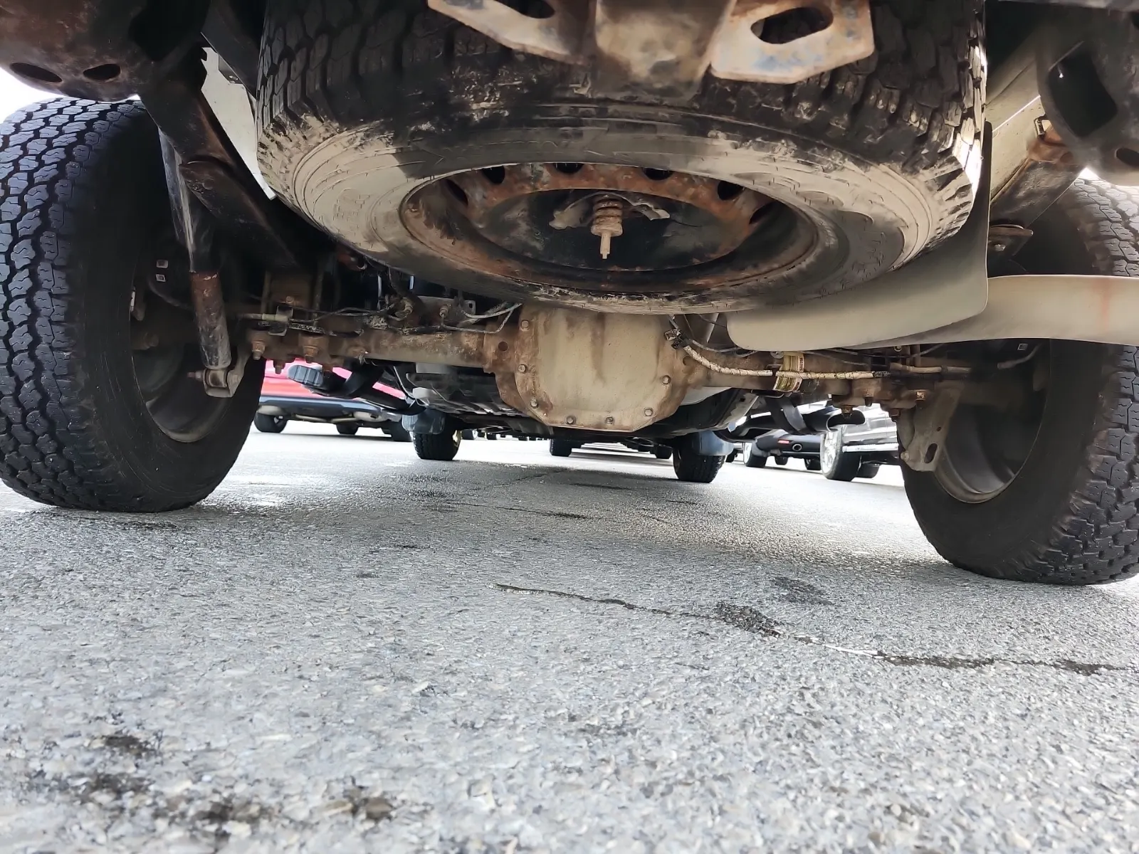 Undercarriage - Rear Photo