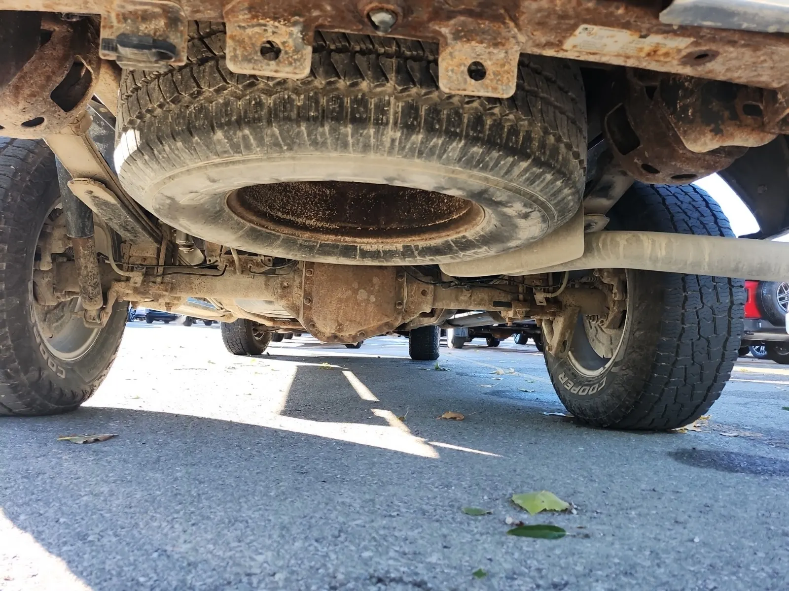 Undercarriage - Rear Photo