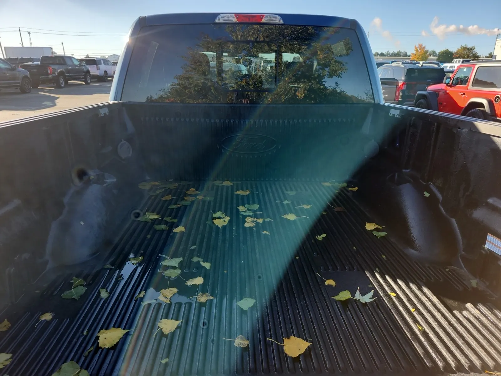 Cargo Area Photo